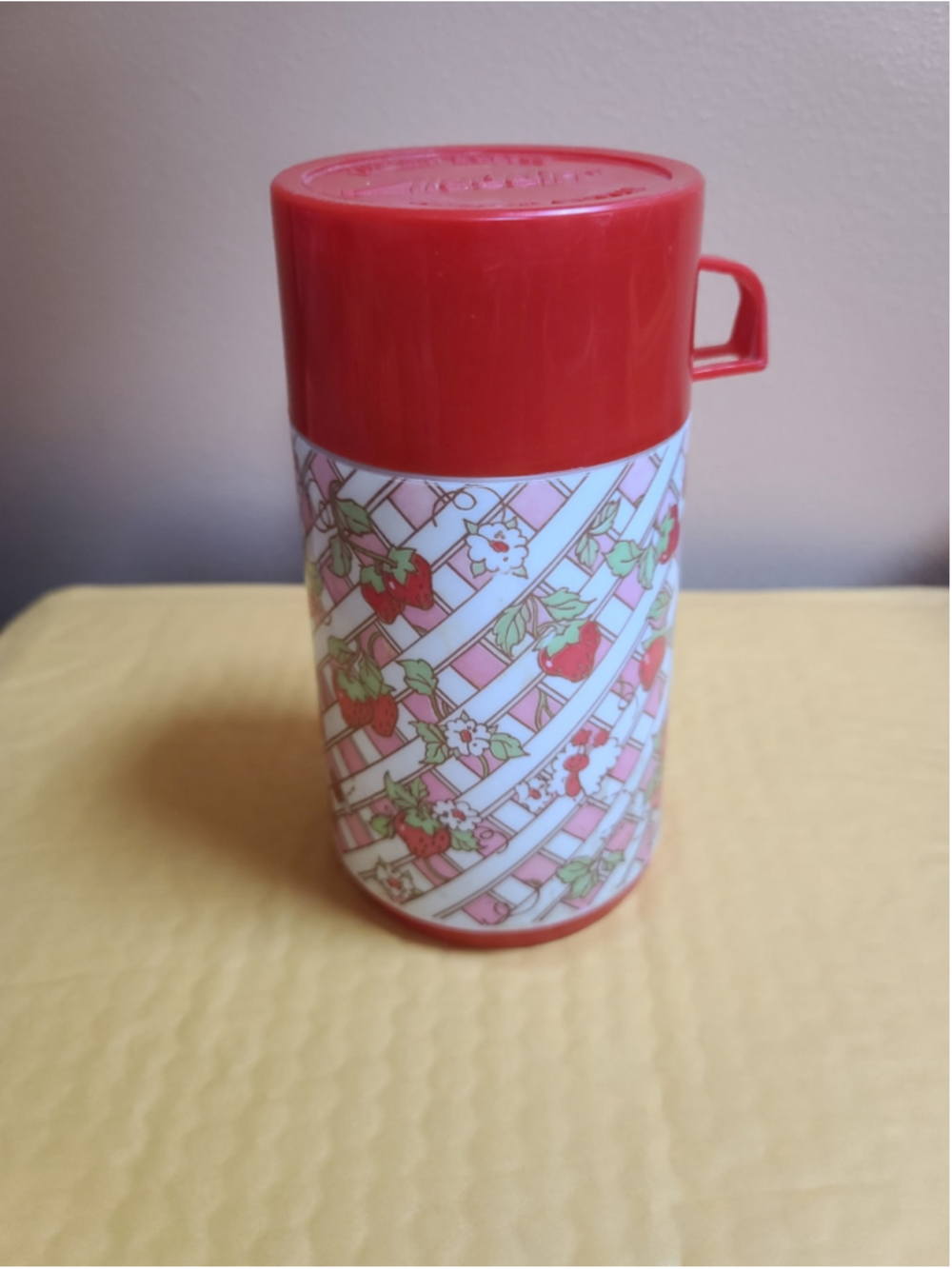 Vintage 1981 Strawberry Shortcake Thermos Aladdin American Greetings Bottle
